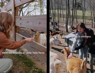 Eagles Nest Cabin with a private hot tub - 8