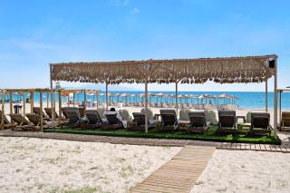 Iguana studio 15 - 9