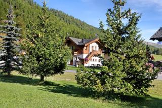 Botton d'oro Camping Stella Alpina - 9