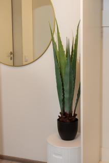 Apartment Haapala A11 - 3