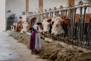Knollgut Ferienwohnung Buchberg - 7