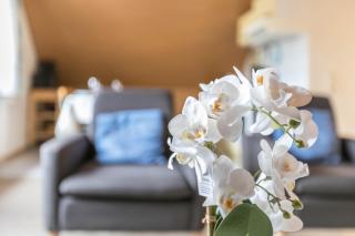 Ferienwohnung Frischauf - 9