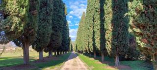 Casa Rossa Vendri - 3