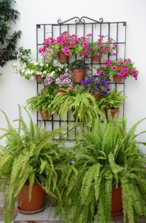 Apartamento 1 dormitorio - 8