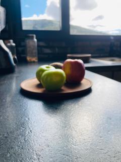 El filo del Lolog - 8