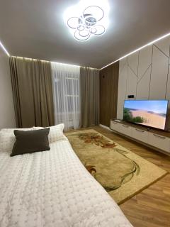 Уютная квартира в центре города, возле дворца школьников Токпанова 8 блок 4 - 9