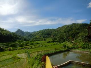 Homestay khánh phù luông - 3