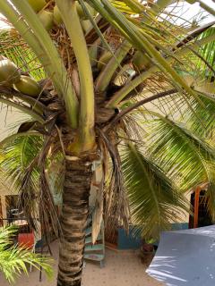 Sumanguru Airport Studios - 9