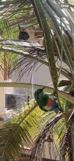 Sumanguru Airport Studios - 8