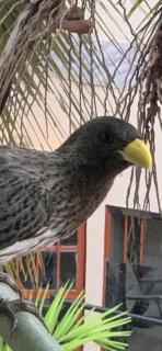 Sumanguru Airport Studios - 7