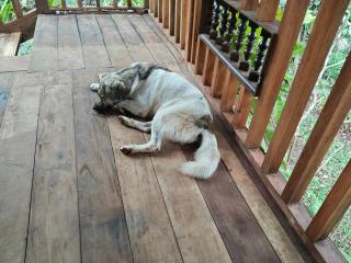 Pondok kepundung - 9