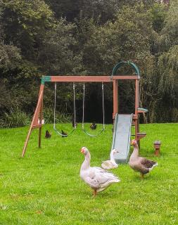 L'Annexe du Petit Echo de la mode - 1