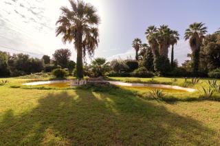 Tenuta Donna Vittoria - Edera - 9