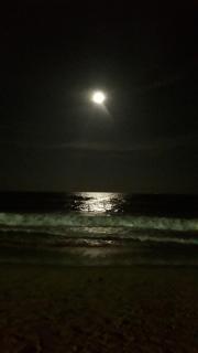 Zetta Villa - Private Beach Retreat & Organic Farm - 8