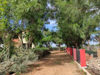 Zetta Villa - Private Beach Retreat & Organic Farm - 6