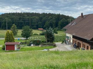 Ferienwohnung am Hopfengarten - 9