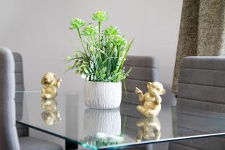 Apartamentos Centro Jerezano 2 - 7