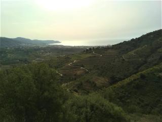 Villa privada para familias - 5