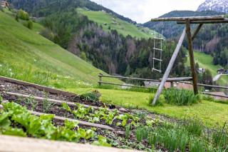 Bolser App Plan de Corones - 7