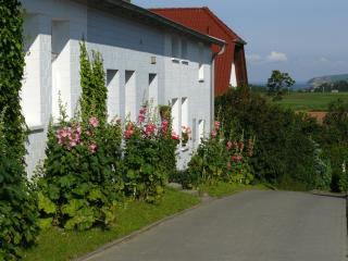 Ferienwohnungen Unter den Linden - Thiessow - 7
