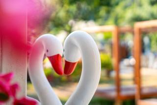 Alex bar apartments - 7