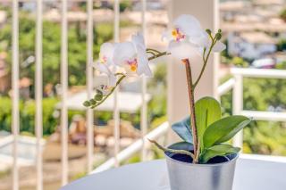 Hermanas Femenias - 9