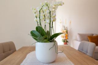 Palma de Mallorca 12 - 2