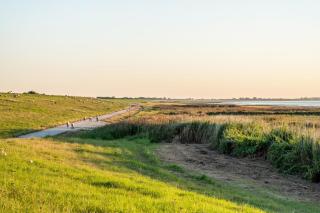 Günthers Friesenstube - 8