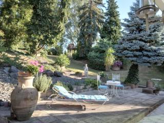 Appartement Aux Deux Cigognes Bis - Gries - 8