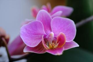 altes forsthaus schotten - 7