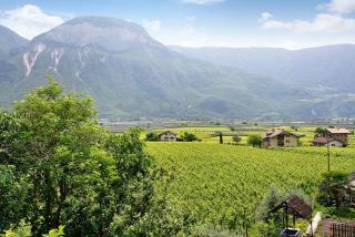 Haus Weinblick Apt 5 - 7