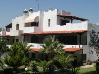 Cortessa Apartments - Nikiti - 6