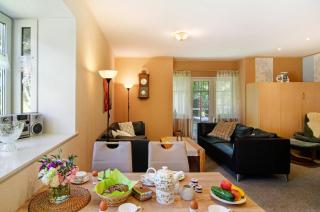 Seeschwalbe Hilgenriedersiel - 7