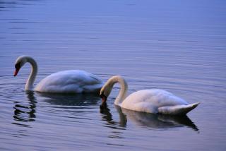 Am Kiefernweg 17 - 8