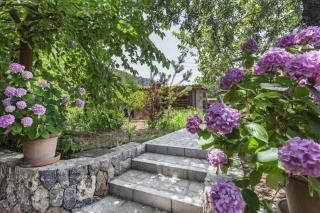 Sa Vinya de Son Bou - 7