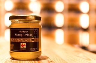 Kammerhof Apartment Apfel - 9