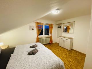 Friedrichshafen im Grünen genießen - 7