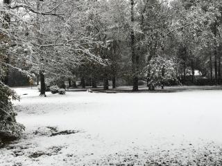 Beautiful French Country Home - 9