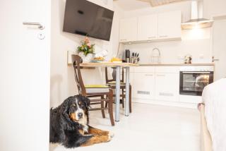 Apartment Wasenberg - 8