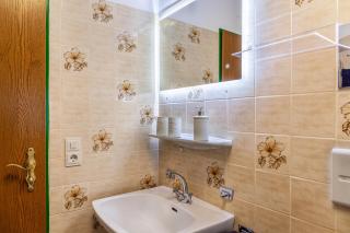 Aschaubichl - Wohnung Bergaurikel - 9