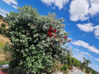 Herdade Monte Gordo - 3