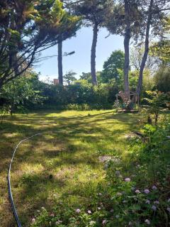 House between the sea and the forest - 5