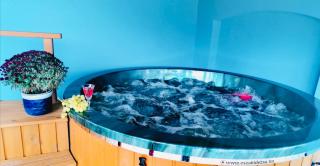 Flower Tisza Vendégház - 5