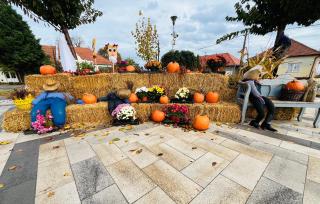 Flower Tisza Vendégház - 2