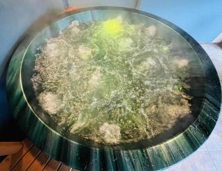 Flower Tisza Vendégház - 1