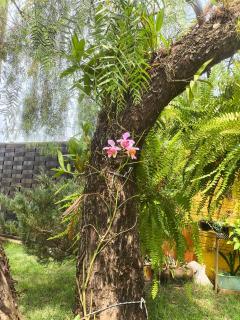 Recanto quatro estacoes - 7