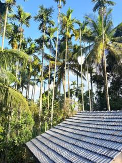 sahara dua jungle farmstay - 5