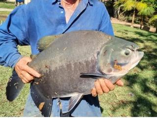 Cantinho do sossego - 7