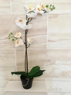 AwayOnBusiness Character Apartment Village Sea - 2