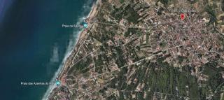 Forest Village Exótic - 8